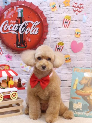 20230914モンチちゃん